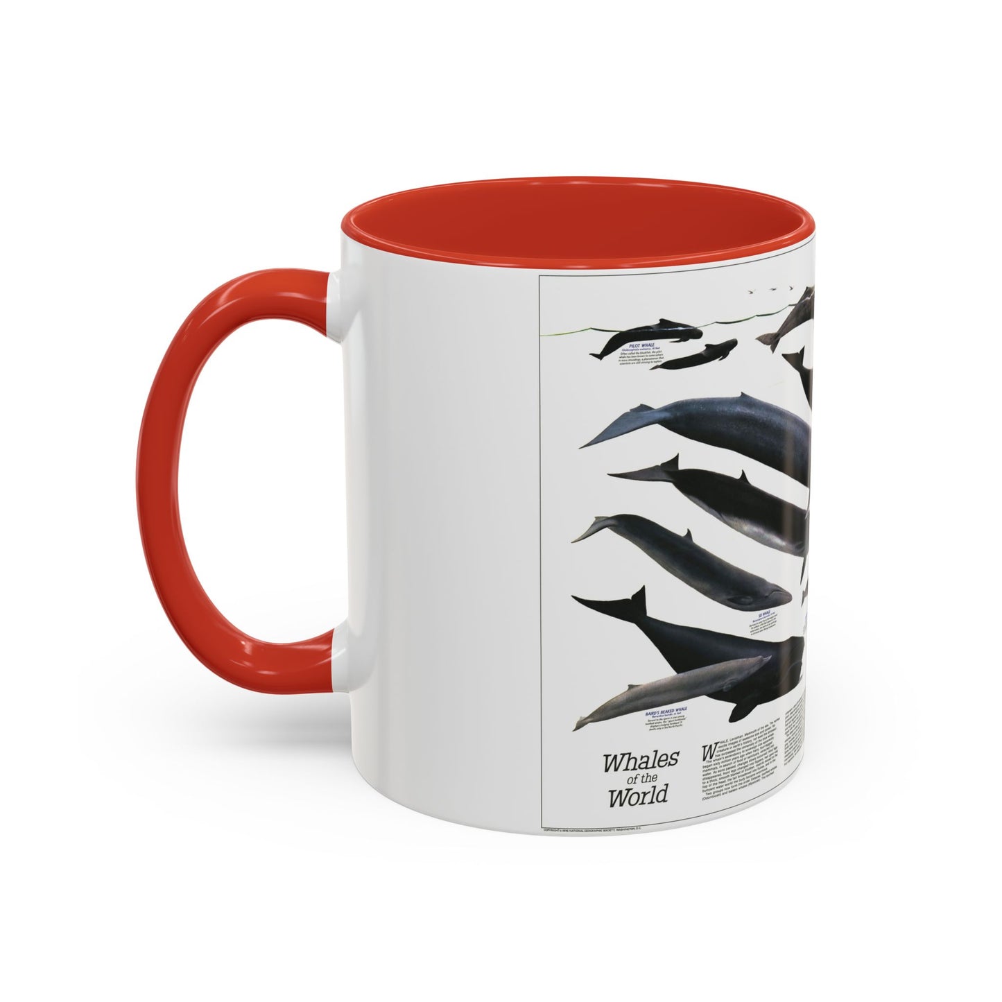 Great Whales of the World (1976) (Map) Accent Coffee Mug