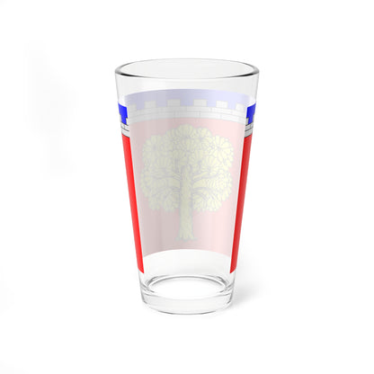 Flag Dubrovka Leningrad oblast (Russia) Pint Glass 16oz