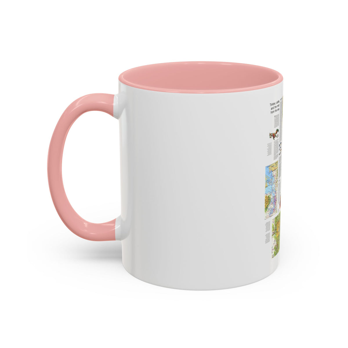 USA - Northwest 2 (1973) (Map) Accent Coffee Mug