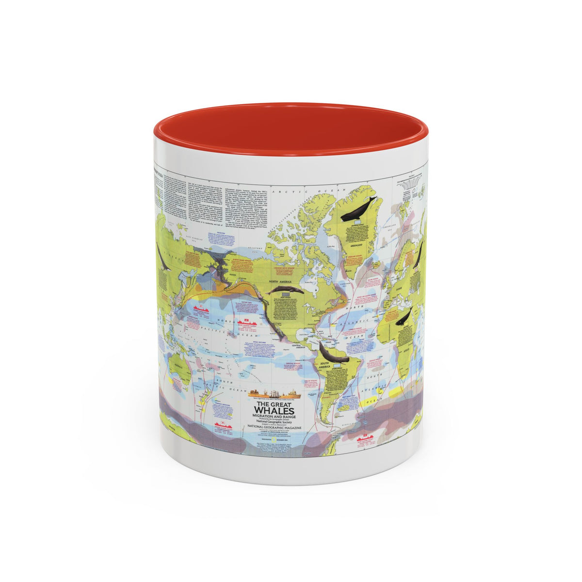 Great Whales, Migration and Range (1976) (Map) Accent Coffee Mug