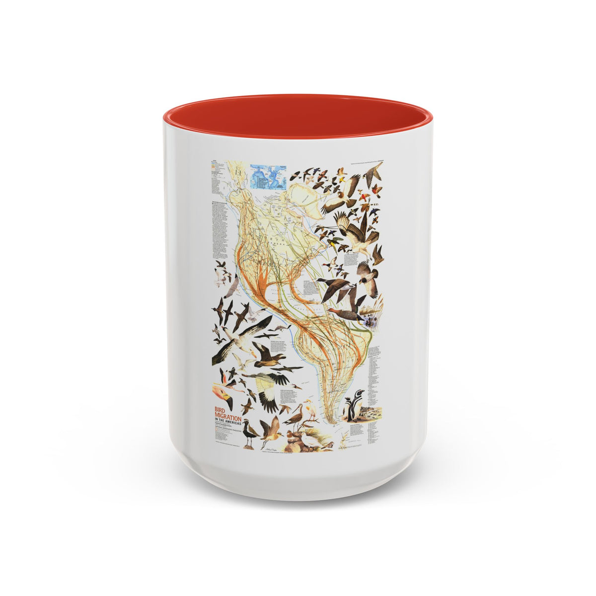 America - Bird Migration (1969) (Map) Accent Coffee Mug