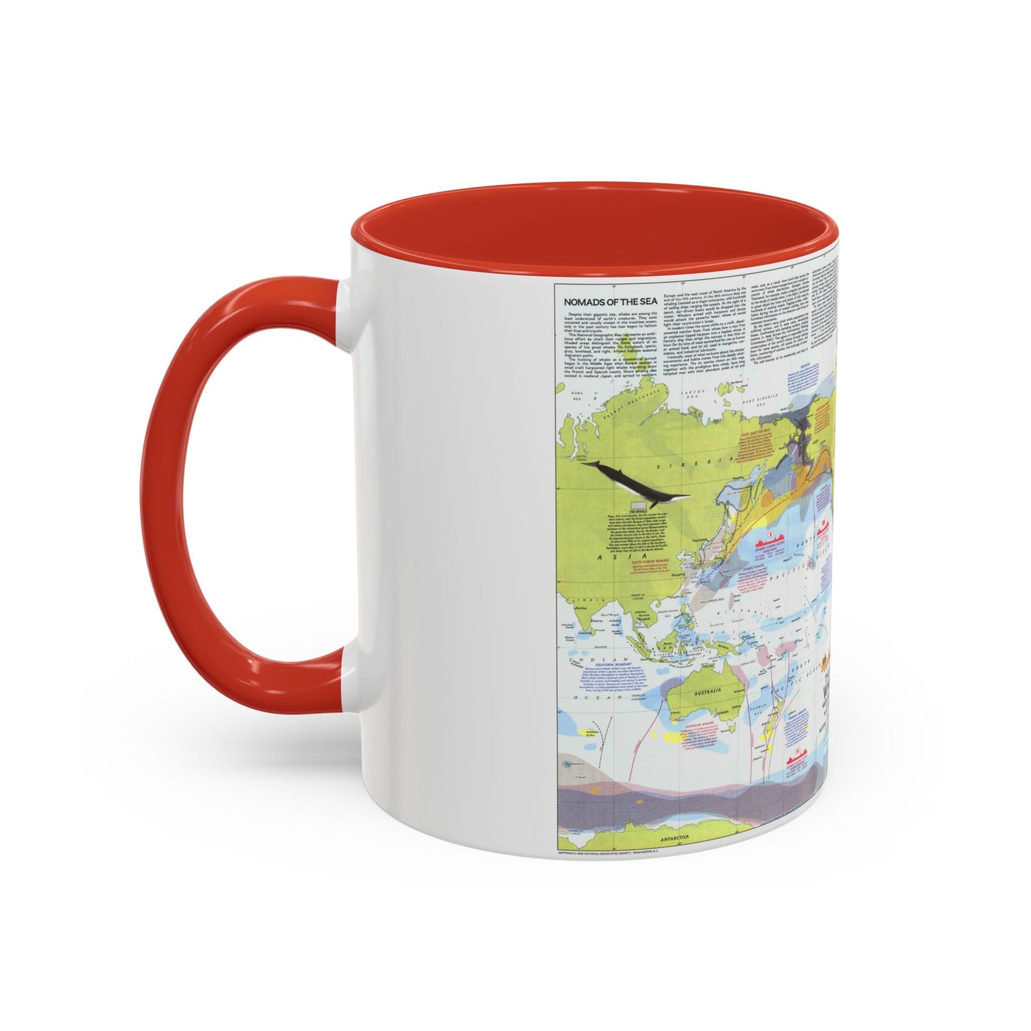 Great Whales, Migration and Range (1976) (Map) Accent Coffee Mug