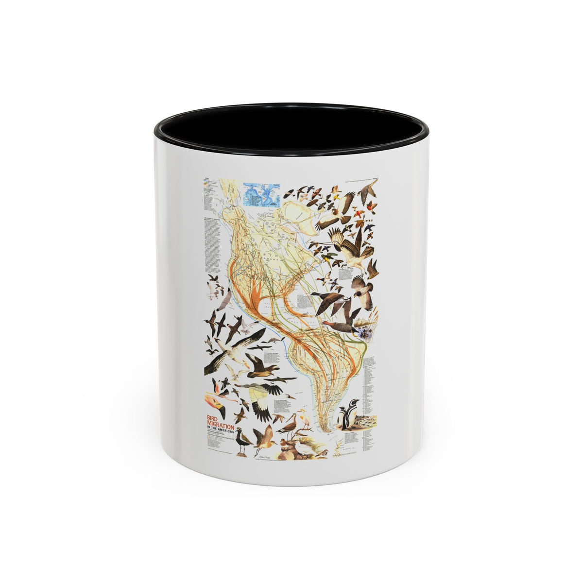 America - Bird Migration (1969) (Map) Accent Coffee Mug