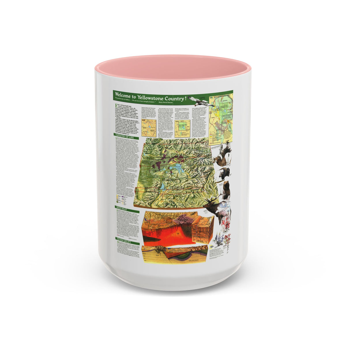 USA - Yellowstone and Grand Teton 2 (1989) (Map) Accent Coffee Mug
