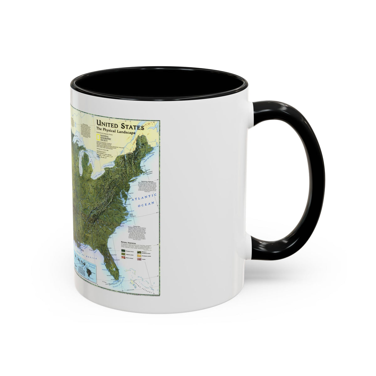 USA - The Physical Landscape (1996) (Map) Accent Coffee Mug