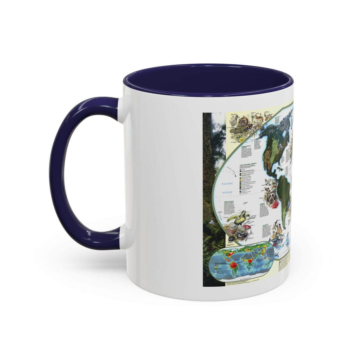 World Map - Diversity of Life (1999) (Map) Accent Coffee Mug