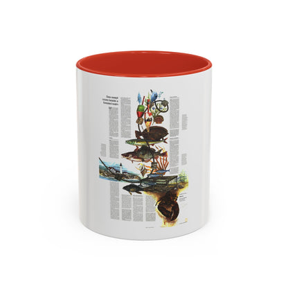 Canada - Maine, with the Maritime Provinces 2 (1975) (Map) Accent Coffee Mug
