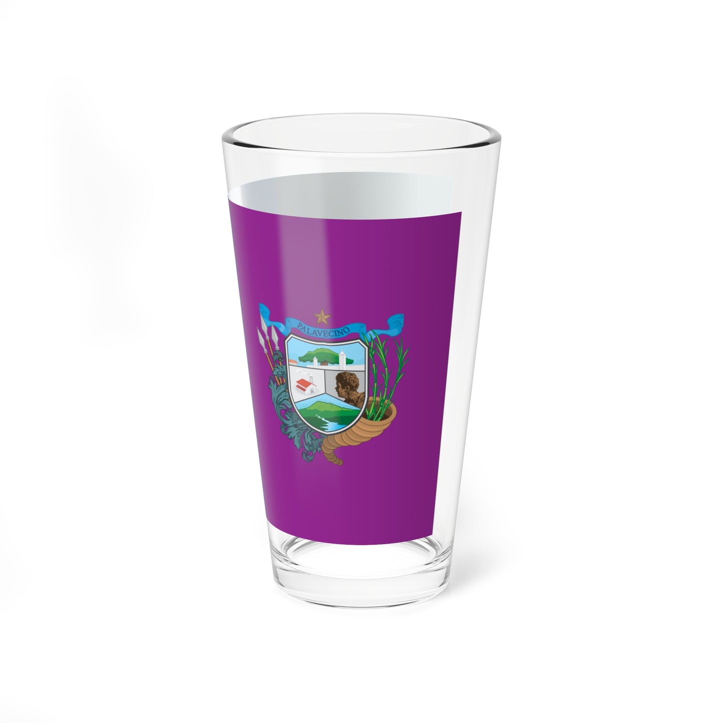 BQTO - Palavecino Municipality Flag (Venezuela) Pint Glass 16oz