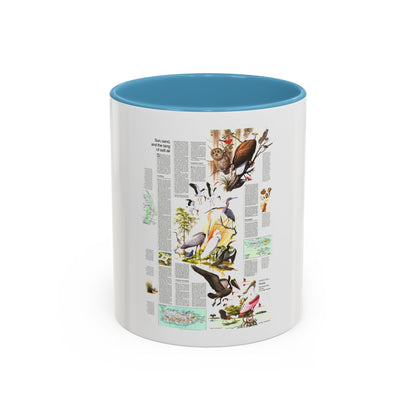 USA - Florida 2 (1973) (Map) Accent Coffee Mug