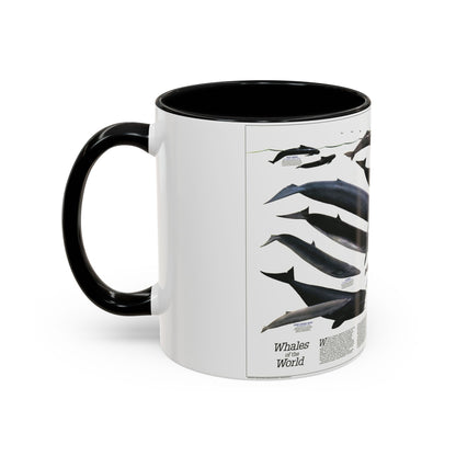 Great Whales of the World (1976) (Map) Accent Coffee Mug