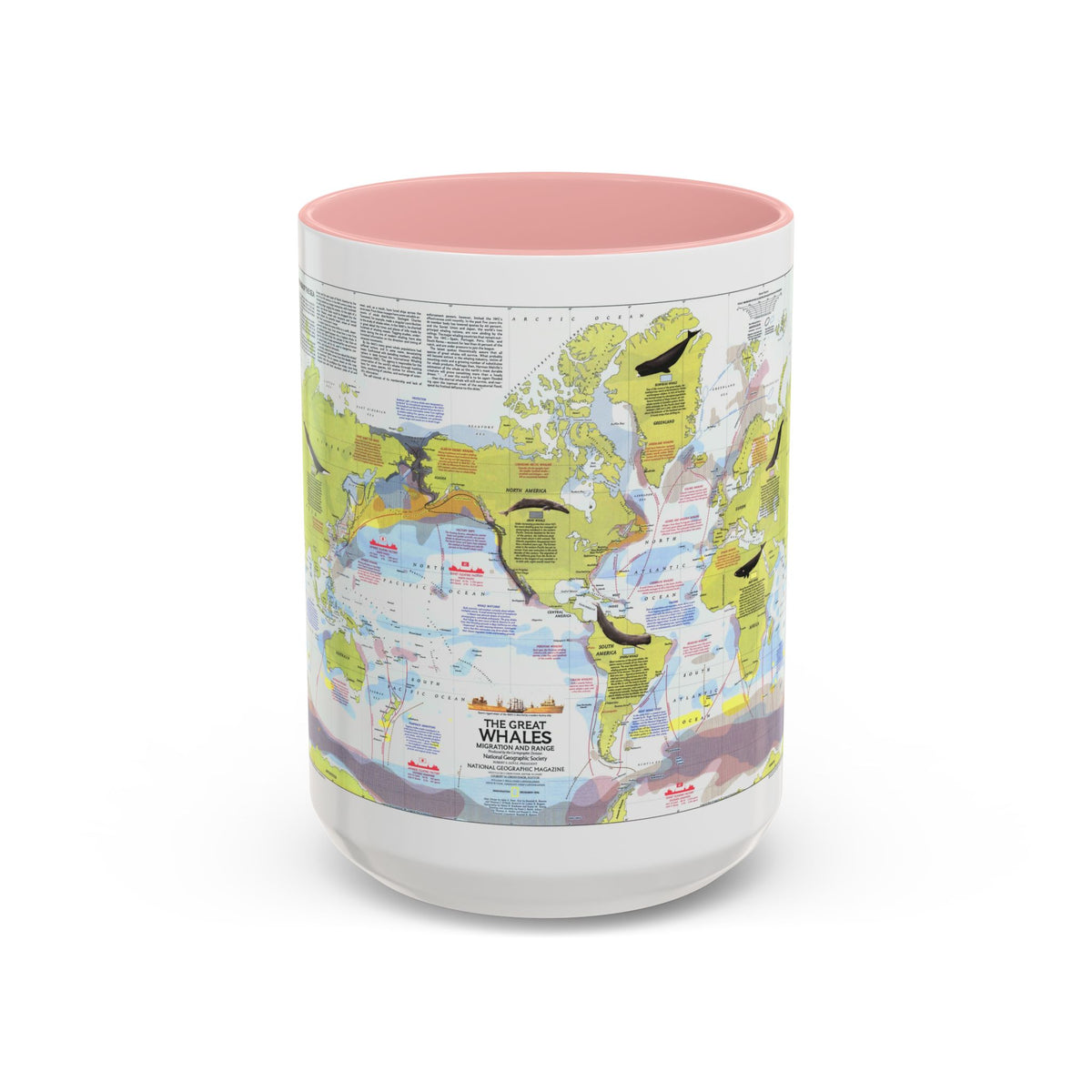 Great Whales, Migration and Range (1976) (Map) Accent Coffee Mug