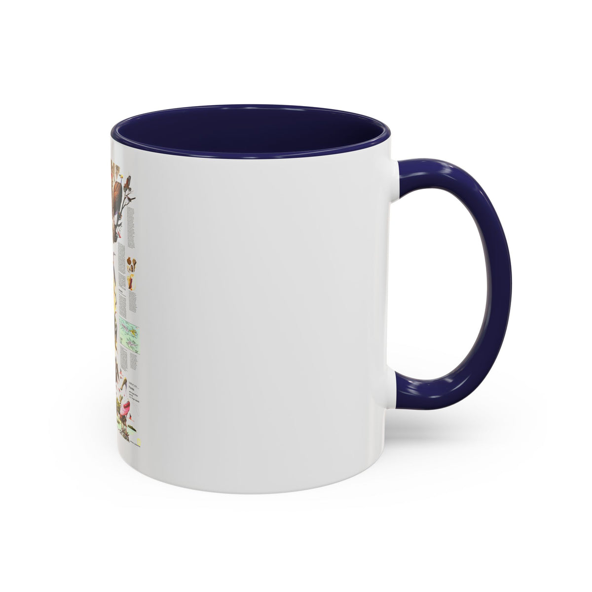 USA - Florida 2 (1973) (Map) Accent Coffee Mug