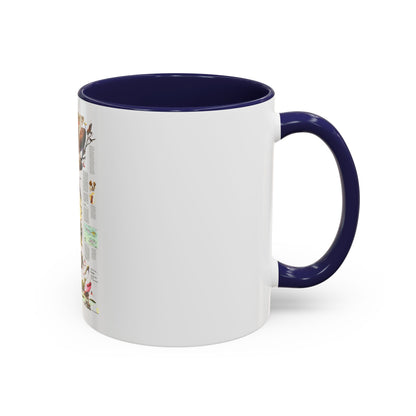 USA - Florida 2 (1973) (Map) Accent Coffee Mug
