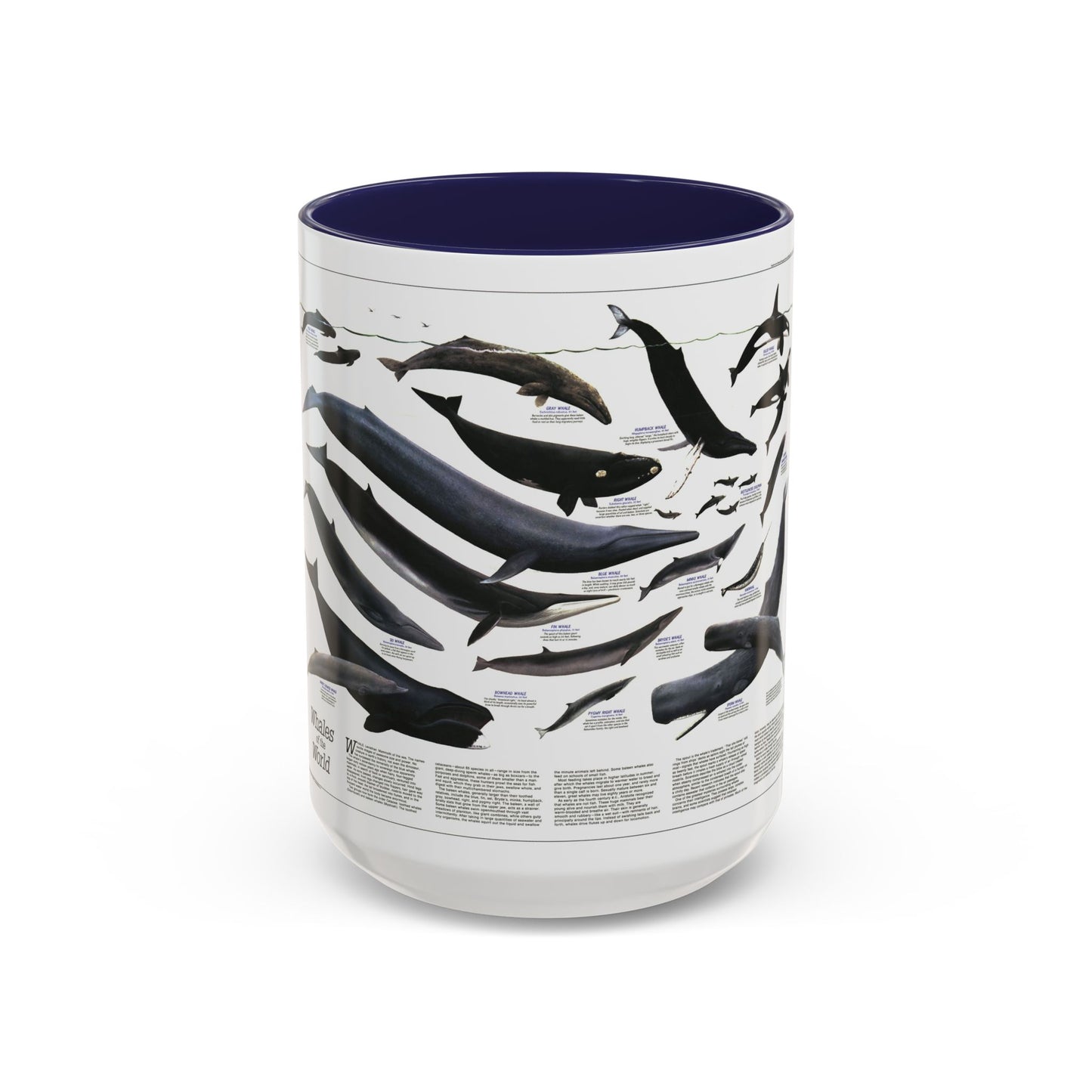 Great Whales of the World (1976) (Map) Accent Coffee Mug