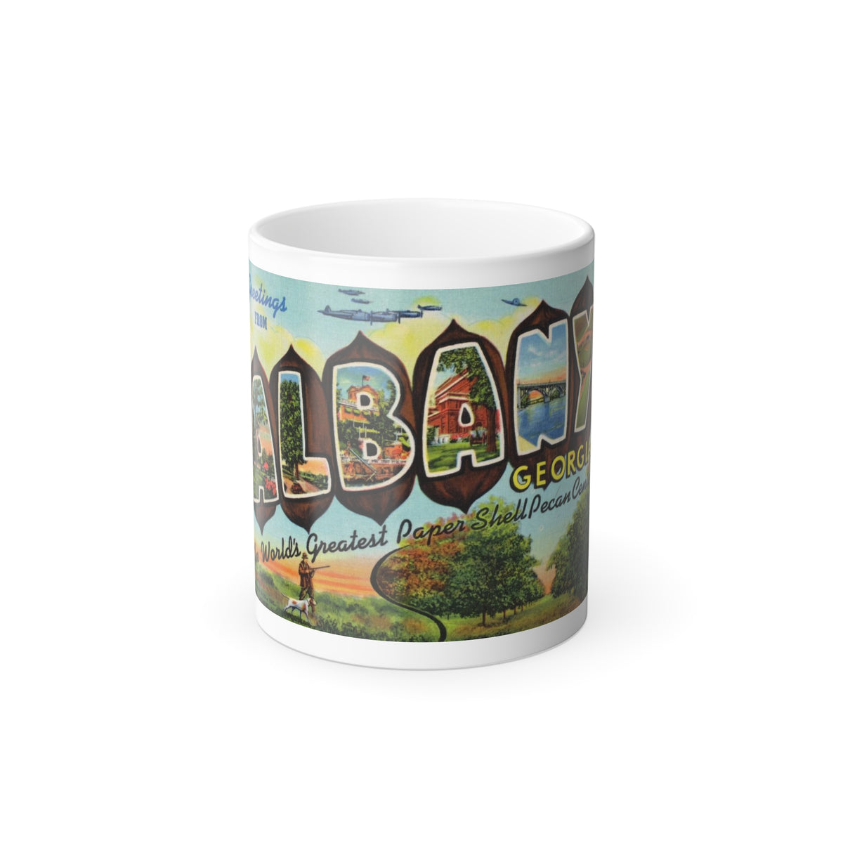 Greeting card from Albany Georgia (Greeting Postcards) Color Changing Mug 11oz