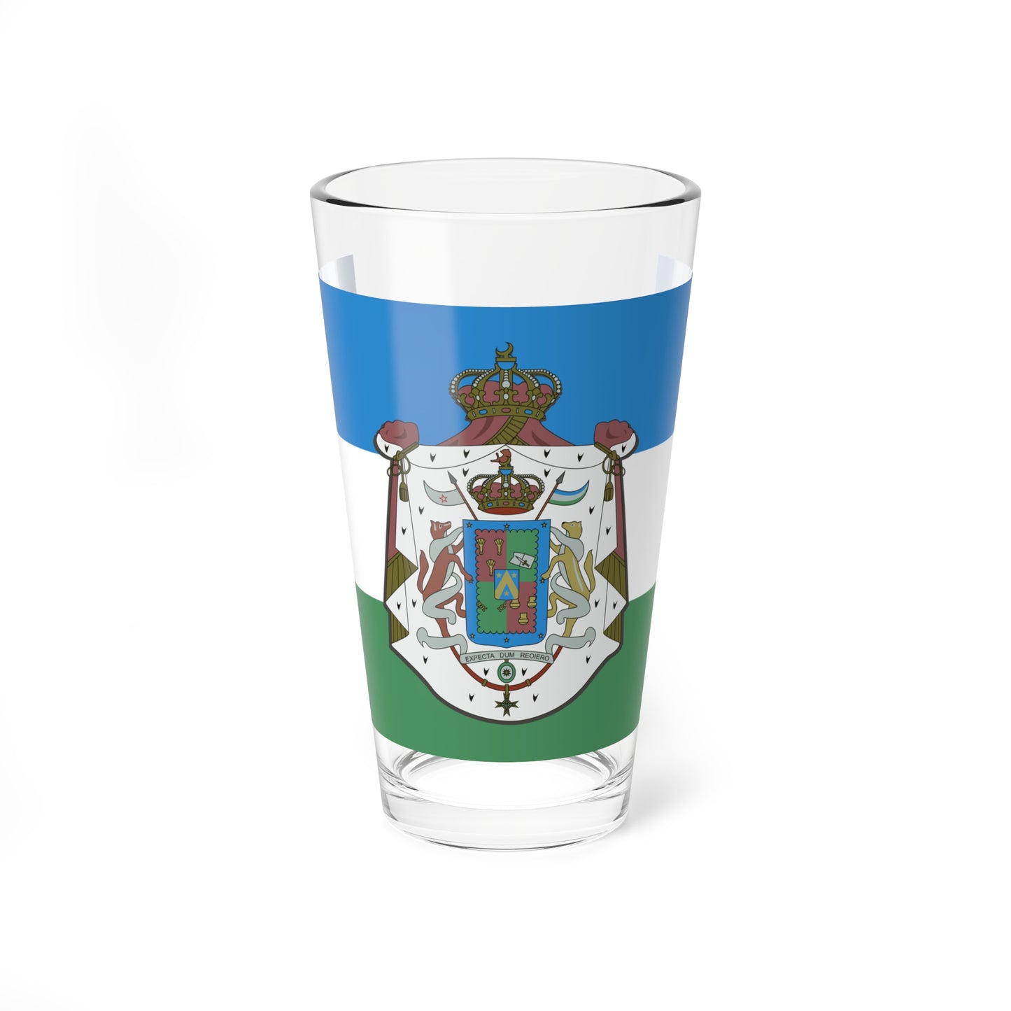 Flag of the Kingdom of Araucanía and Patagonia with coats of arms (Argentina) Pint Glass 16oz