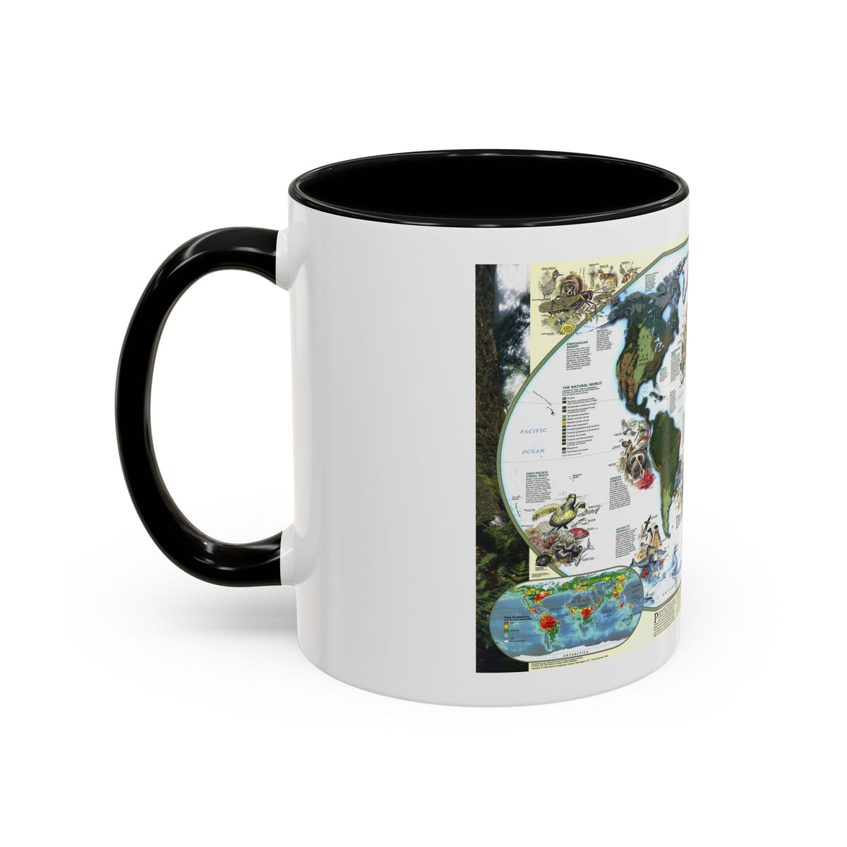 World Map - Diversity of Life (1999) (Map) Accent Coffee Mug