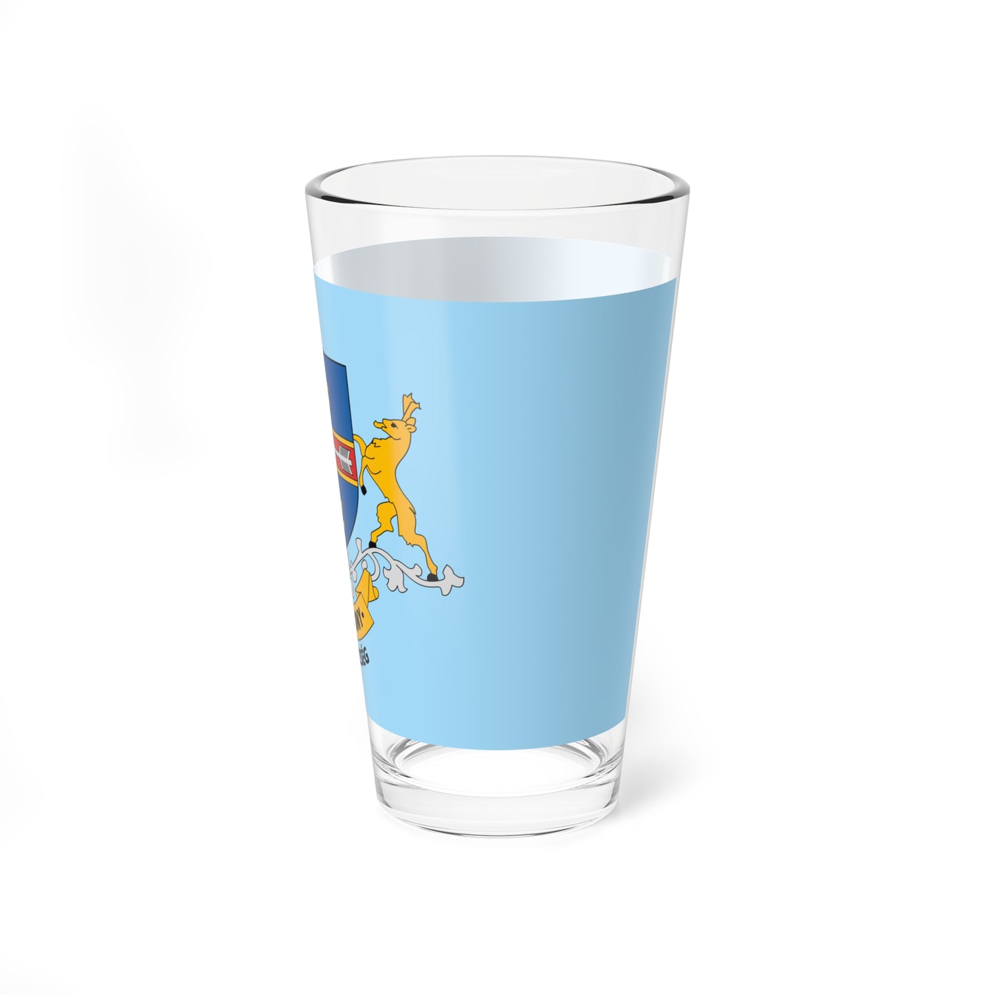 Flag of Felsopakony variant (Hungary) Pint Glass 16oz