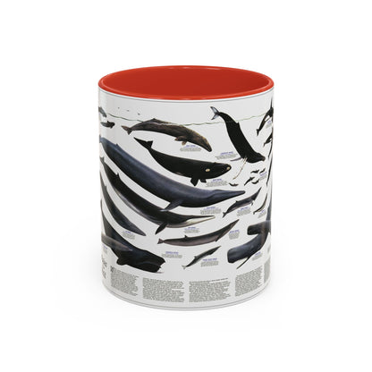 Great Whales of the World (1976) (Map) Accent Coffee Mug