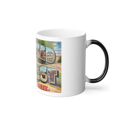 Greetings from Petrified Forest Ariz (Greeting Postcards) Color Changing Mug 11oz