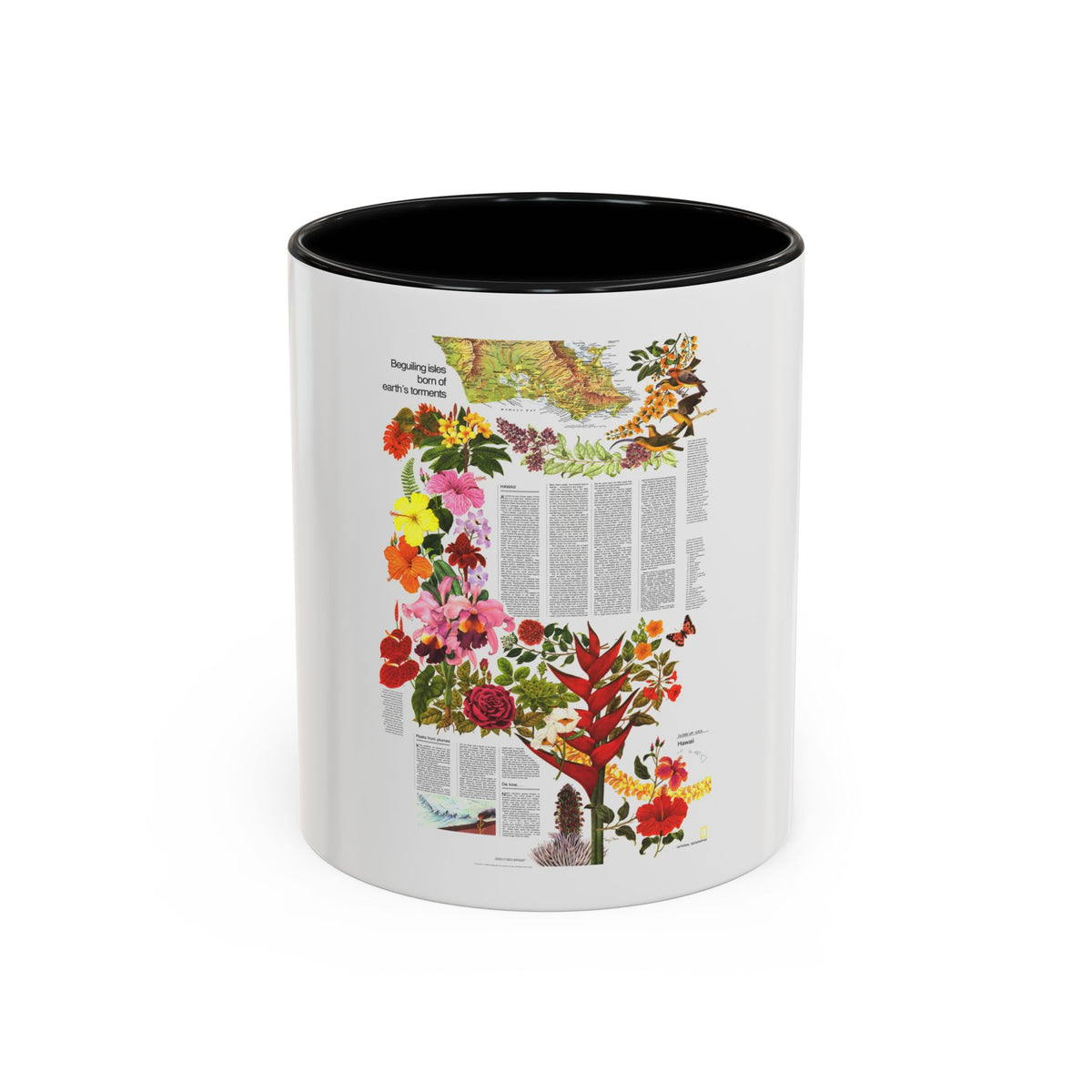 USA - Hawaii, Beguiling Isles (1976) (Map) Accent Coffee Mug