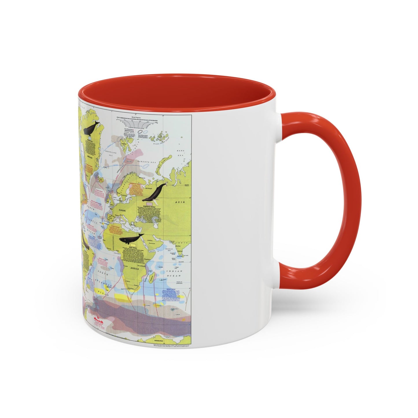 Great Whales, Migration and Range (1976) (Map) Accent Coffee Mug