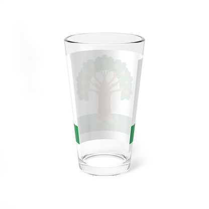 Flag of Arkhangelsky rayon (Russia) Pint Glass 16oz