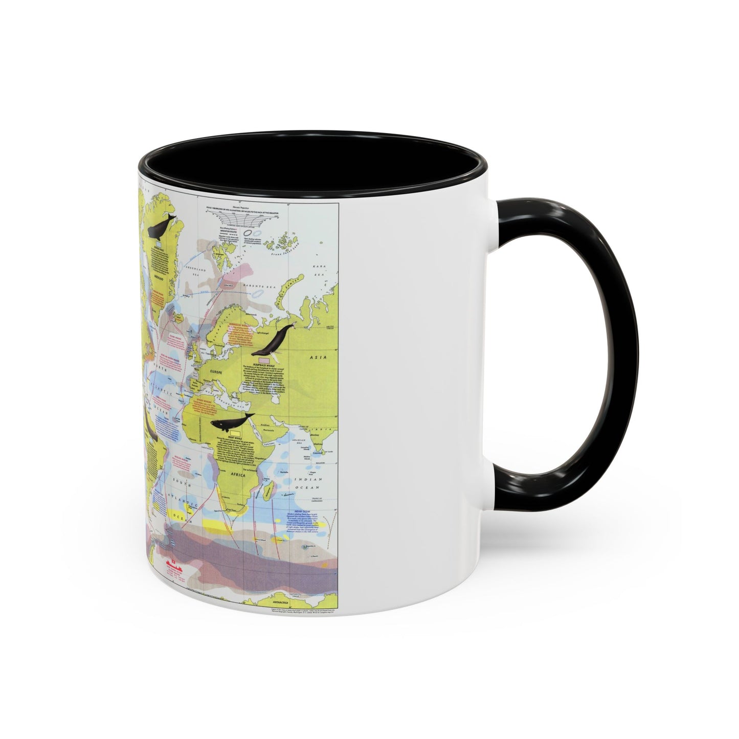 Great Whales, Migration and Range (1976) (Map) Accent Coffee Mug