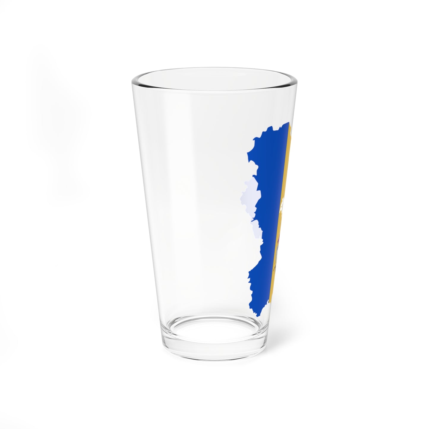 Flag-map of Kiev Oblast (Ukraine) Pint Glass 16oz