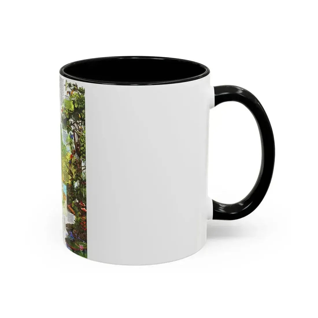 Amazonia - A World Resource at Risk (1992) (Map) Accent Coffee Mug - Go Mug Yourself