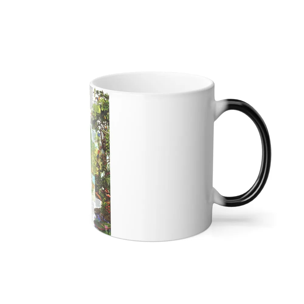 Amazonia - A World Resource at Risk (1992) (Map) Color Changing Mug 11oz-Go Mug Yourself