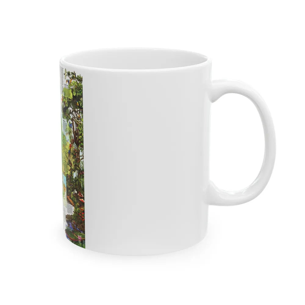 Amazonia - A World Resource at Risk (1992) (Map) White Coffee Mug-Go Mug Yourself