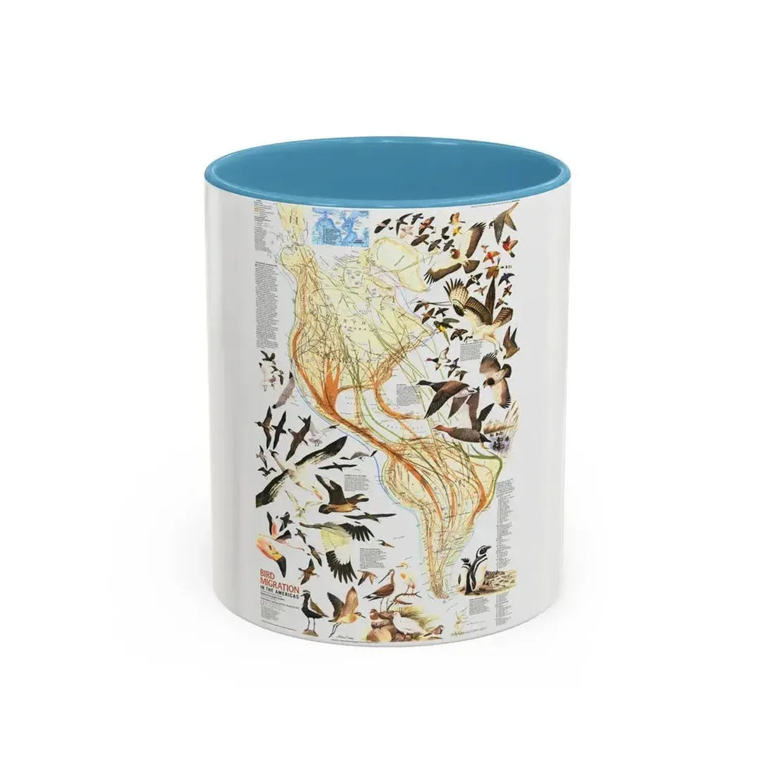 America - Bird Migration (1969) (Map) Accent Coffee Mug 11oz Light Blue - Go Mug Yourself
