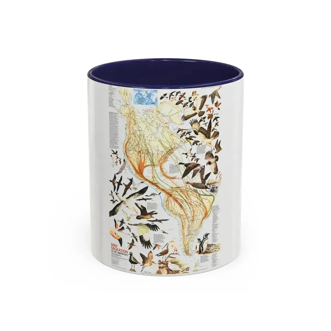 America - Bird Migration (1969) (Map) Accent Coffee Mug 11oz Navy - Go Mug Yourself