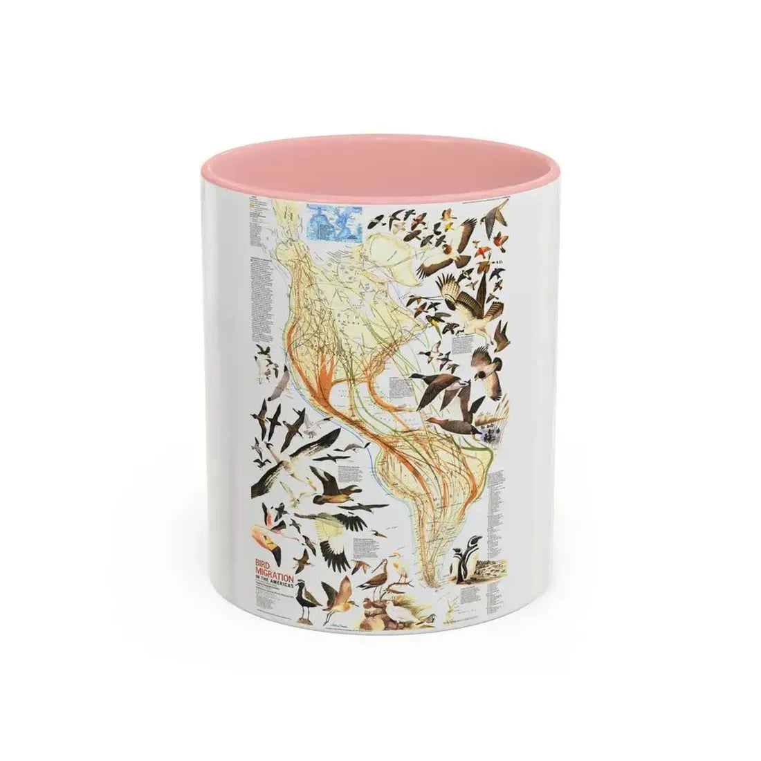 America - Bird Migration (1969) (Map) Accent Coffee Mug 11oz Pink - Go Mug Yourself
