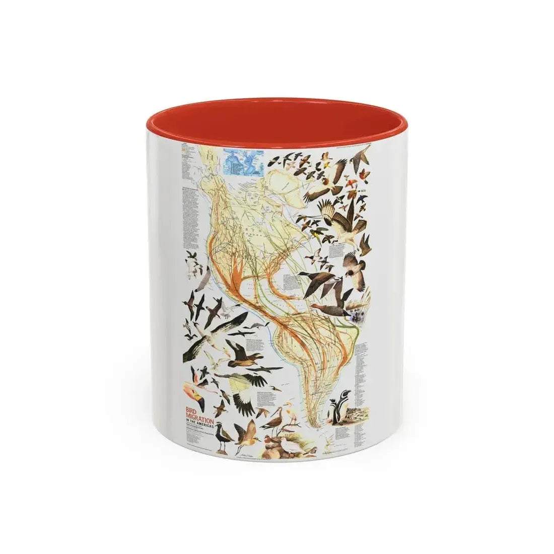 America - Bird Migration (1969) (Map) Accent Coffee Mug 11oz Red - Go Mug Yourself