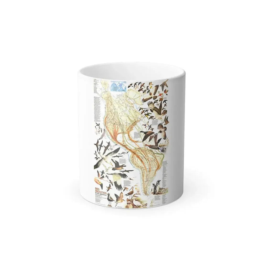 America - Bird Migration (1969) (Map) Color Changing Mug 11oz Default Title 11oz - Go Mug Yourself