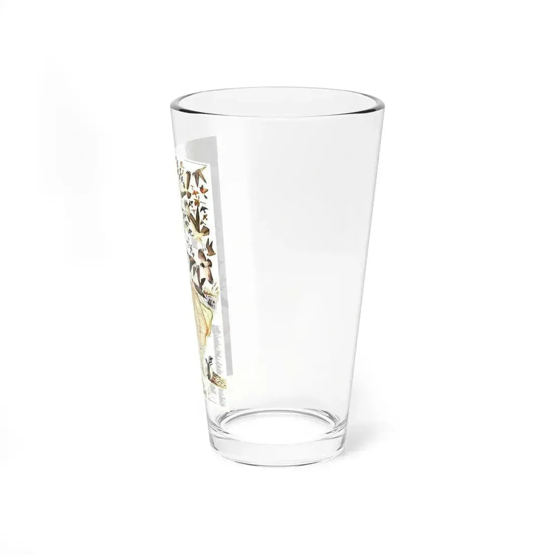 America - Bird Migration (1969) (Map) Pint Glass 16oz - Go Mug Yourself