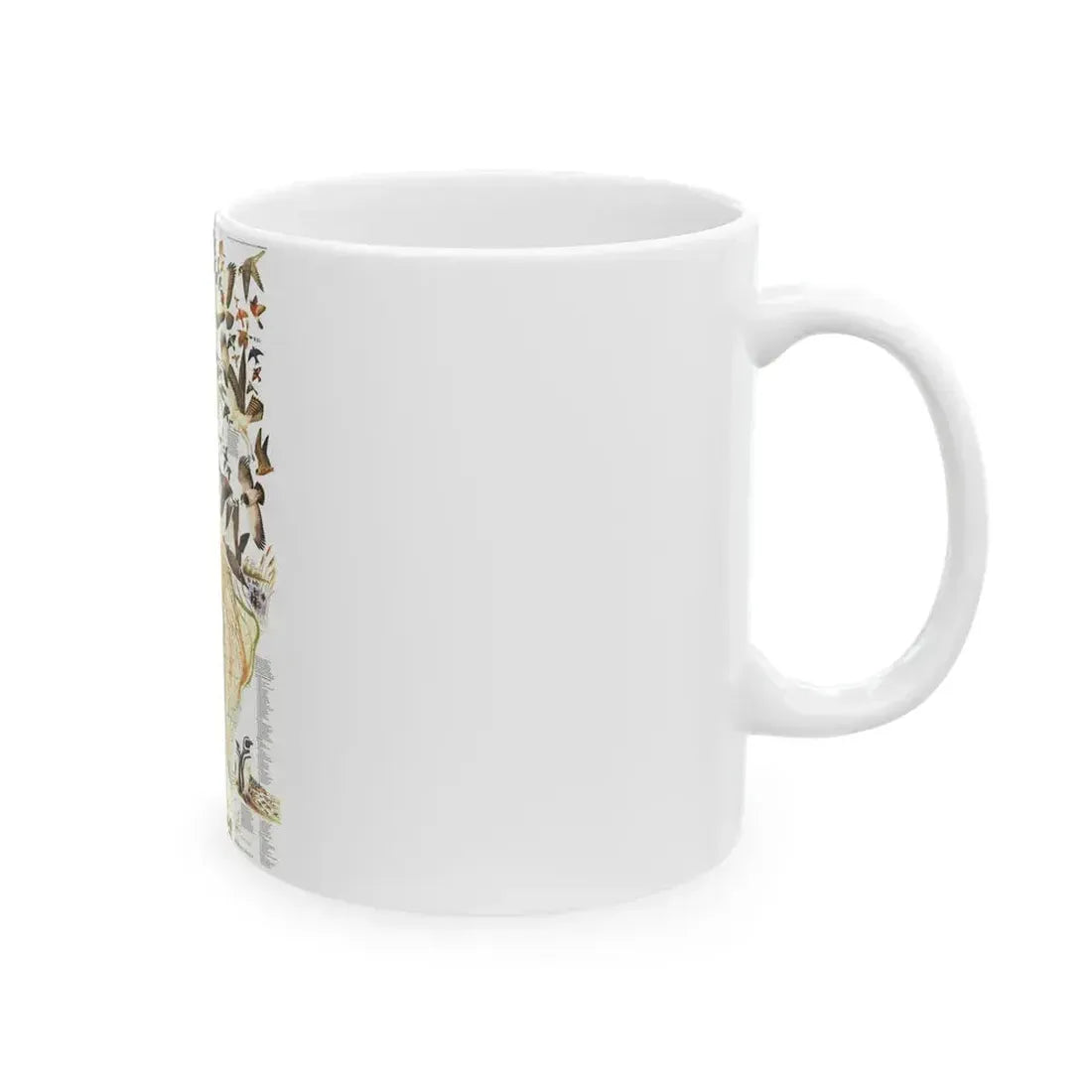 America - Bird Migration (1969) (Map) White Coffee Mug - Go Mug Yourself