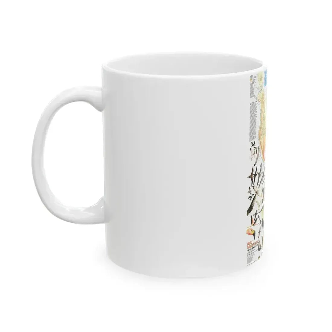 America - Bird Migration (1969) (Map) White Coffee Mug - Go Mug Yourself