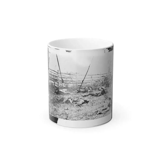 Antietam, Maryland. Confederate Soldiers as They Fell Inside the Fence on the Hagerstown Road (U.S. Civil War) Color Changing Coffee Mug 11oz Default Title 11oz - Go Mug Yourself