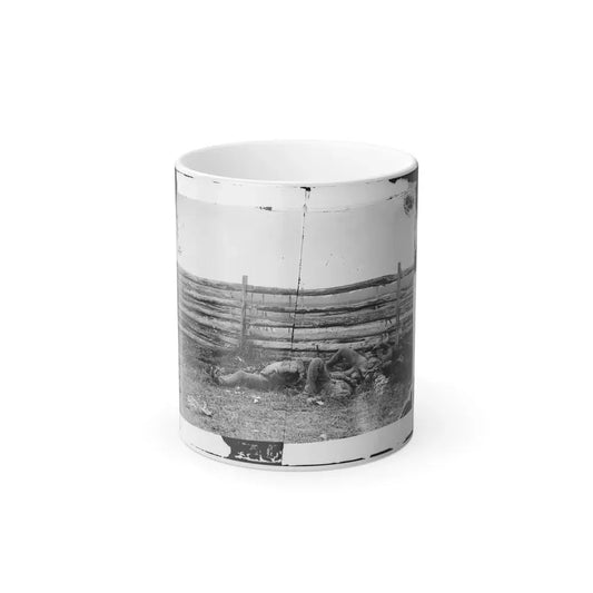 Antietam, Maryland. Dead of Stonewall Jackson's Brigade by Rail Fence on the Hagerstown Pike (U.S. Civil War) Color Changing Coffee Mug 11oz Default Title - Go Mug Yourself