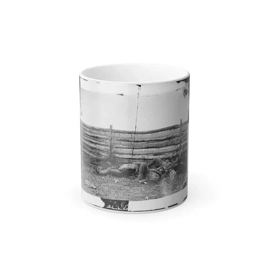 Antietam, Maryland. Dead of Stonewall Jackson's Brigade by Rail Fence on the Hagerstown Pike (U.S. Civil War) Color Changing Coffee Mug 11oz Default Title - Go Mug Yourself