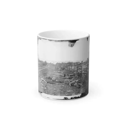 Antietam, Md. Confederate Dead by a Fence on the Hagerstown Road (U.S. Civil War) Color Changing Coffee Mug 11oz Default Title - Go Mug Yourself