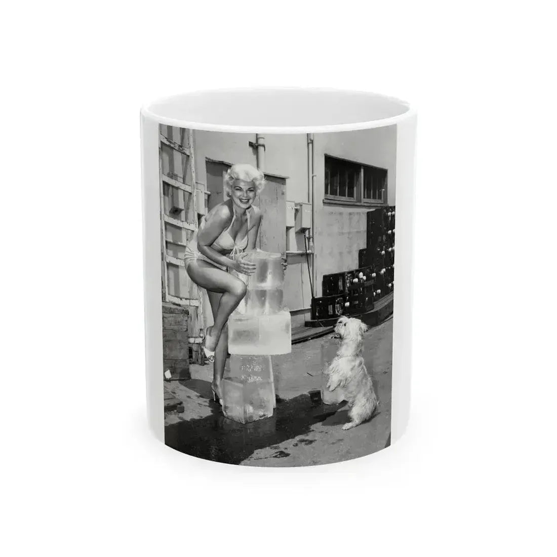 Barbara Nichols #441 (Vintage Female Icon) White Coffee Mug 11oz - Go Mug Yourself