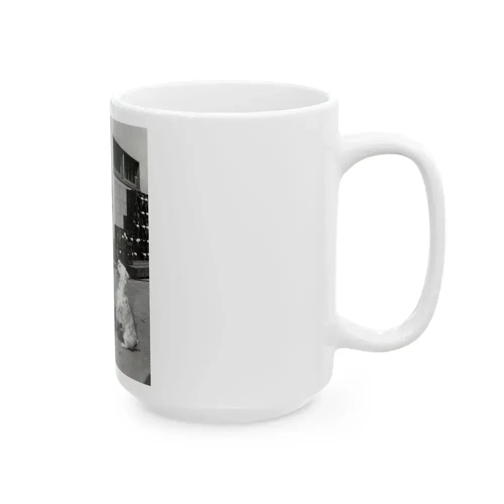 Barbara Nichols #441 (Vintage Female Icon) White Coffee Mug - Go Mug Yourself