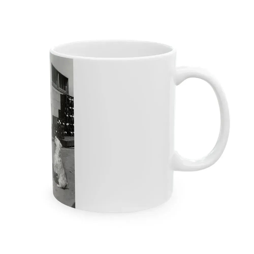 Barbara Nichols #441 (Vintage Female Icon) White Coffee Mug - Go Mug Yourself