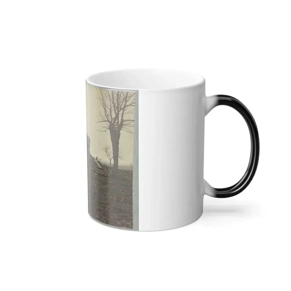 Battlefield of Bull Run, Ruins of Henry House (U.S. Civil War) Color Changing Coffee Mug 11oz - Go Mug Yourself