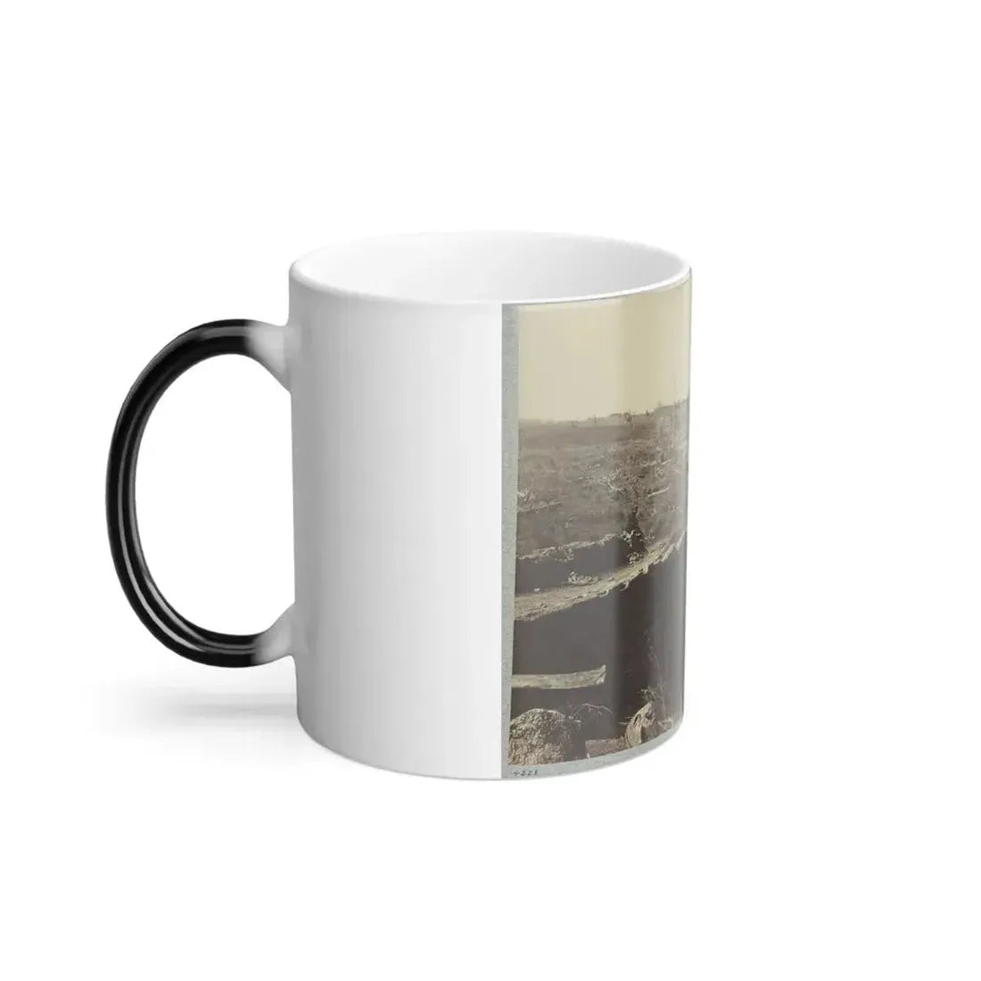 Battlefield of Bull Run, Ruins of the Stone Bridge (U.S. Civil War) Color Changing Coffee Mug 11oz - Go Mug Yourself