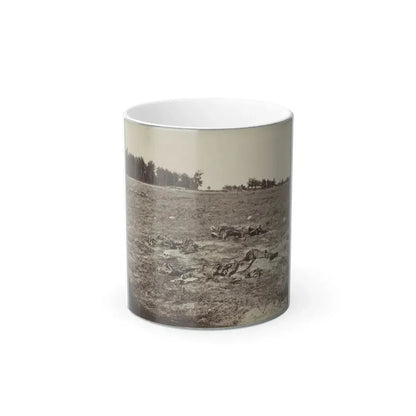 Battlefield of Gaines' Mill, Va. (U.S. Civil War) Color Changing Coffee Mug 11oz Default Title 11oz - Go Mug Yourself